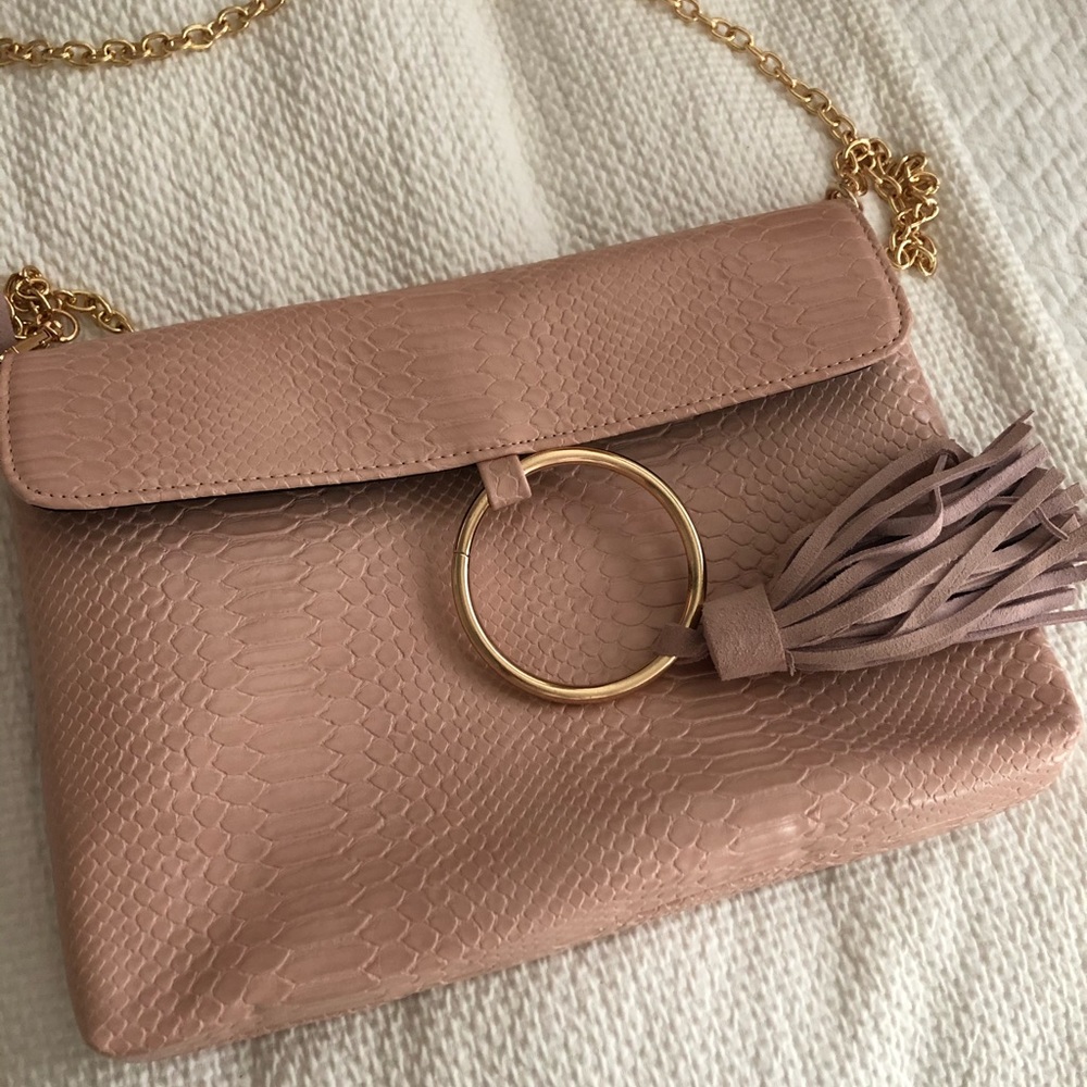 Snakeskin clutch/chain purse
